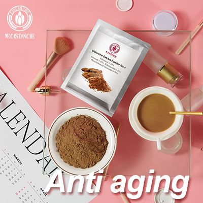 Cistanche has good effect in skincare and cosmetic product Cistanche has good effect in skincare and cosmetic product