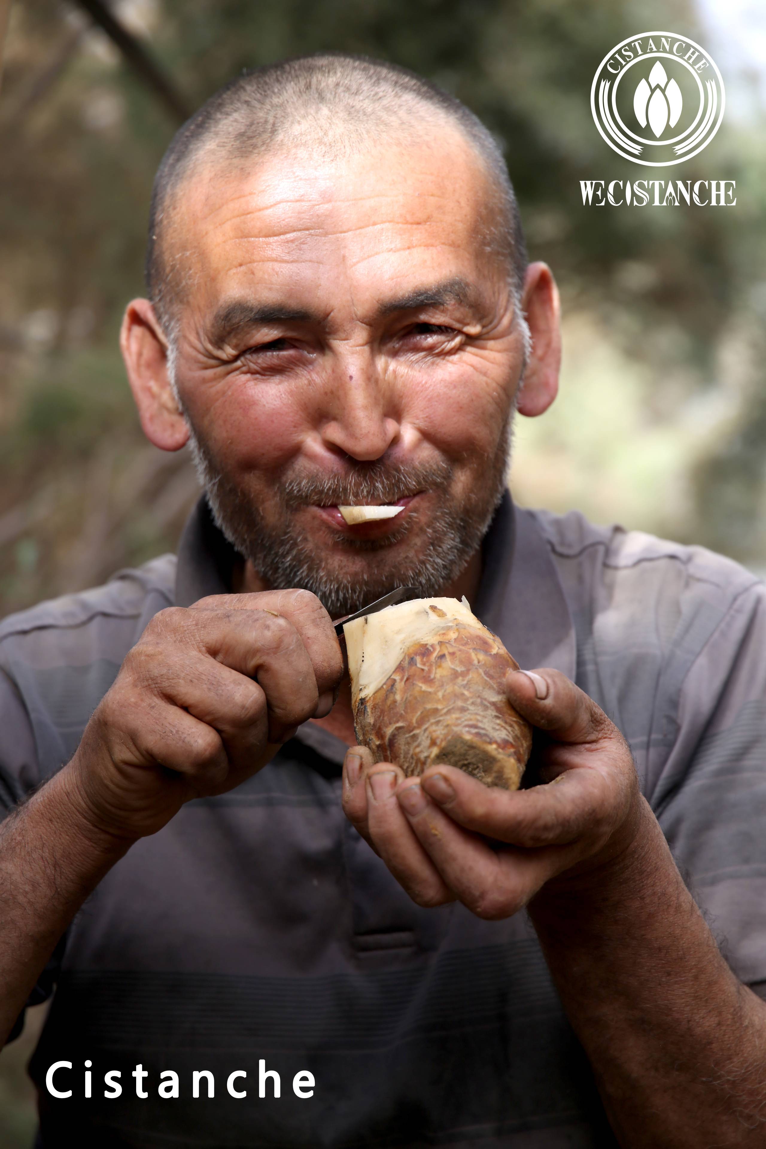 Old man in Xinjiang eating Cistanche Old man in Xinjiang eating Cistanche