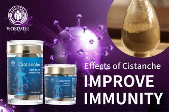 Cistanche is good for bone formation