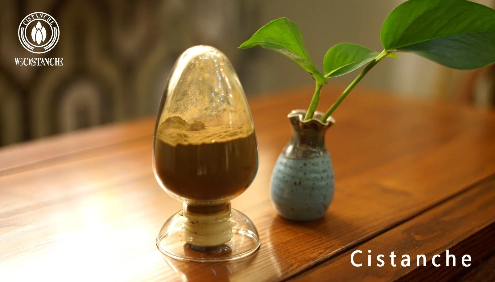Cistanche products