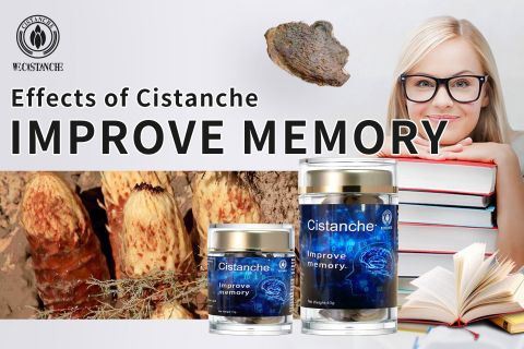 cistanche health benefits: improve memory