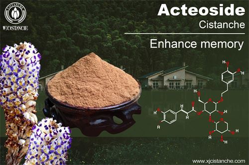 anti alzheimer's disease products anti alzheimer's disease products