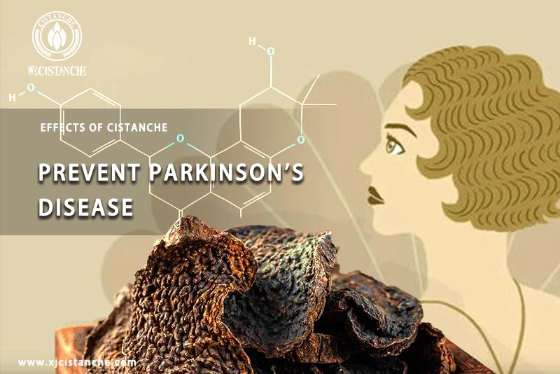 prevent parkinson's dease effect of Cistanche