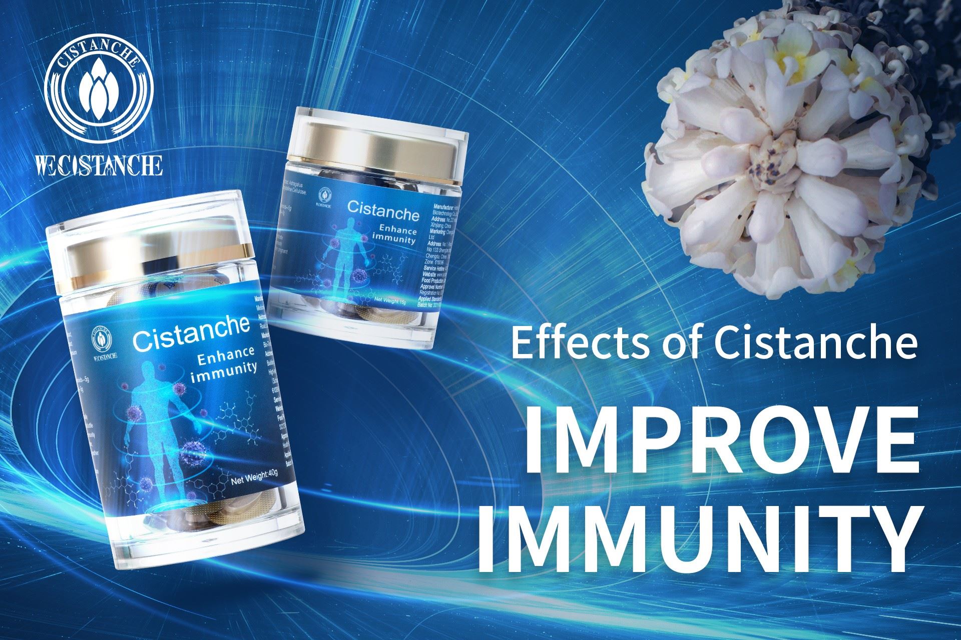improve immunity Cistanche improve immunity Cistanche