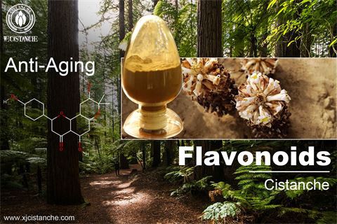 flavonoids anti aging