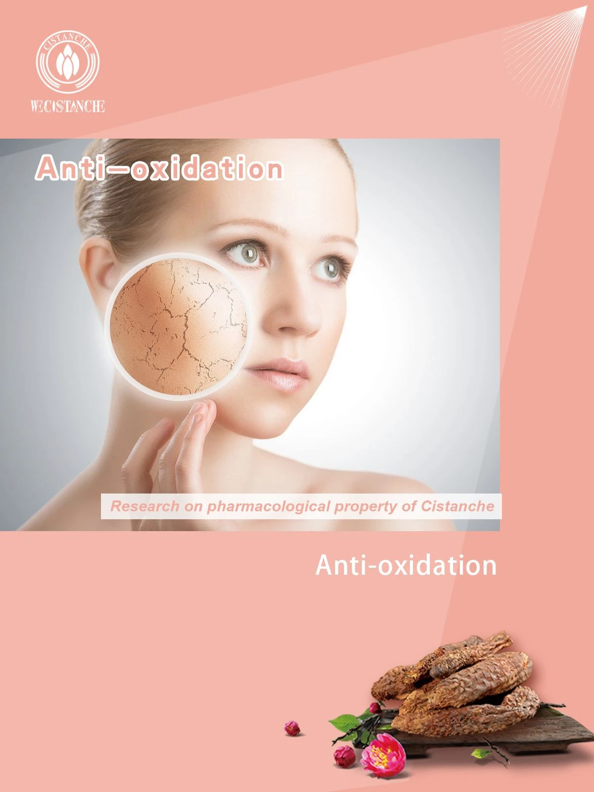 CISTANCHE BENEFIT