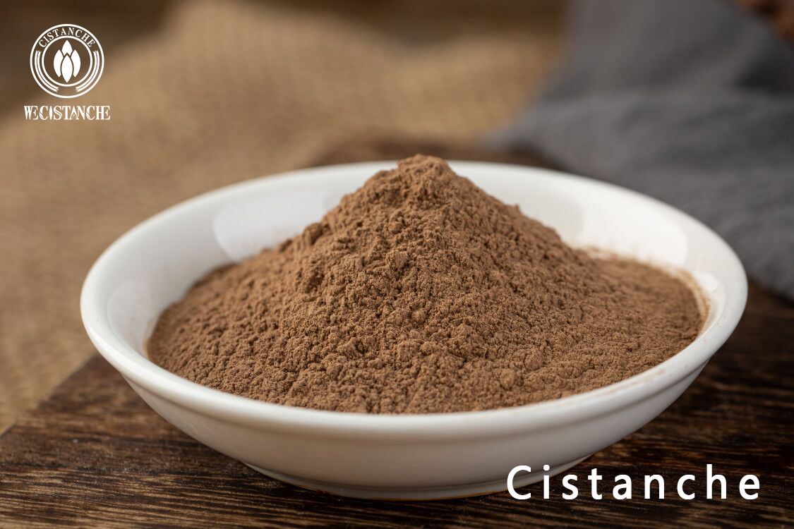 Cistanche extract powder Cistanche extract powder