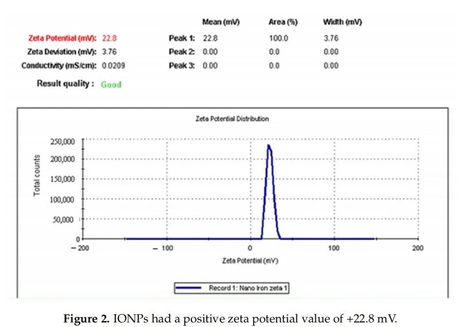 IONPs had a positive zeta potential value of +22.8 mV
