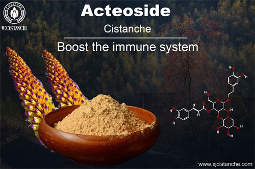 acteoside in cistanche (2) acteoside in cistanche (2)