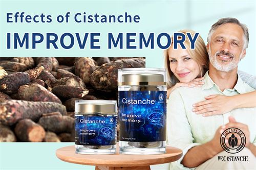 Cistanche can improve memory Cistanche can improve memory