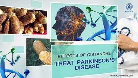 Prevent Parkinson (3)
