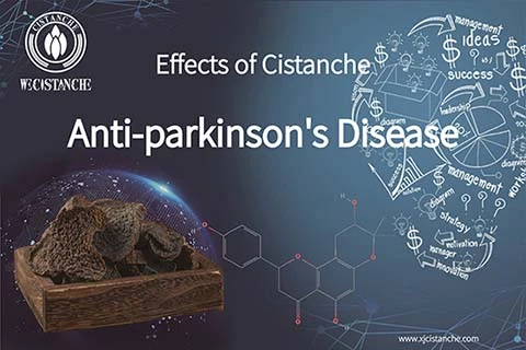 Prevent Parkinson (14)