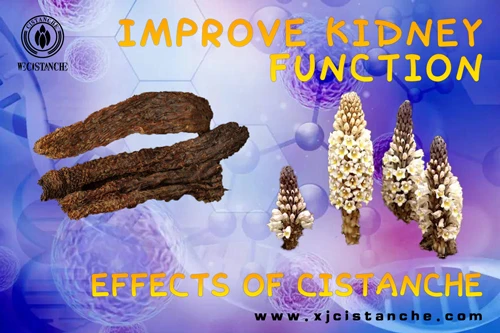 how to improve kideny function how to improve kideny function