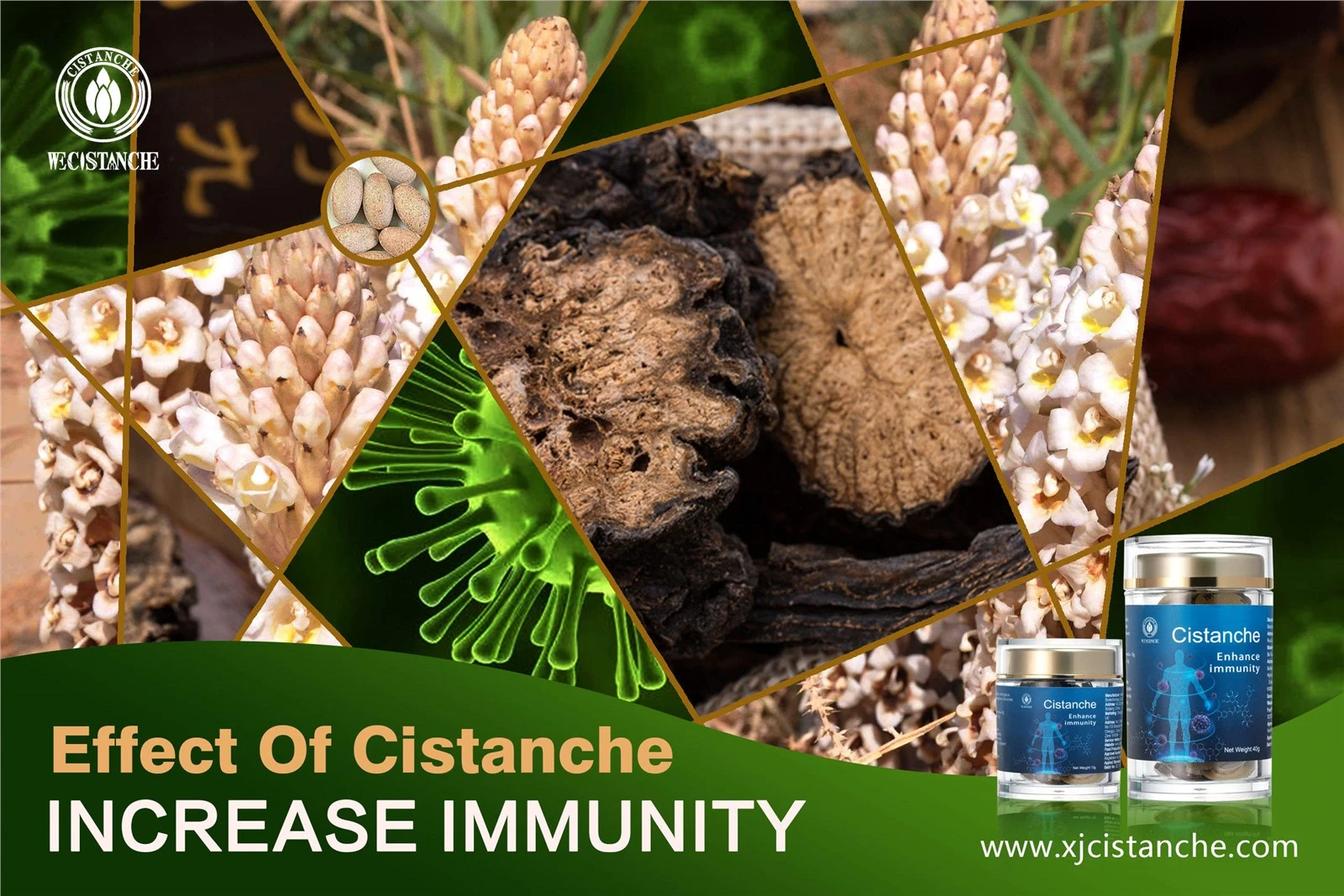 increase immunity
