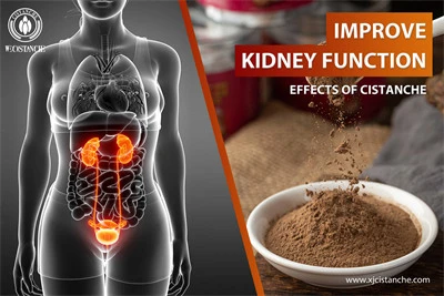 cistanche for sale for kidney disease cistanche for sale for kidney disease