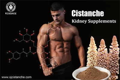 where can i buy cistanche for kidney disease where can i buy cistanche for kidney disease