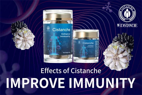 cistanche stem
