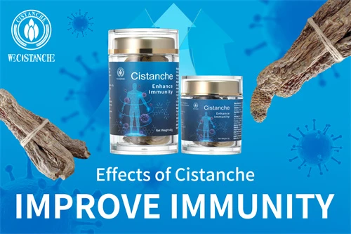 cistanche penis growth