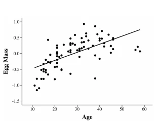 Fig. 4 Egg mass, not clutch size, increases with age in reproducing female K. favescens. The Y-axis represents residuals from the linear model in Table 3 with age removed from the model. Egg mass residuals=0.025(Age) – 0.73, R2=0.40