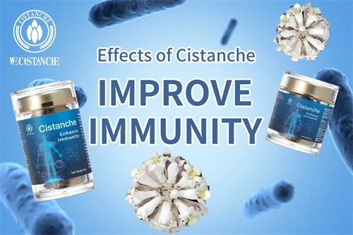 Desert ginseng—Improve immunity (11)