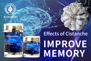 ways to improve brain function ways to improve brain function