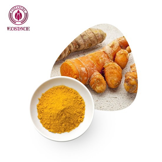 Curcumin 95 Púdar