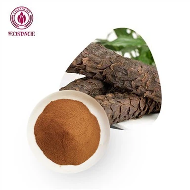 Cistanche do Testosterone