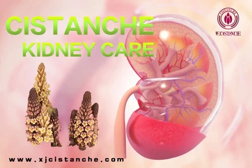 kidney care